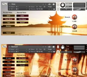 ARIA SOUNDS ETHNIC WOODWINDS FLUTES